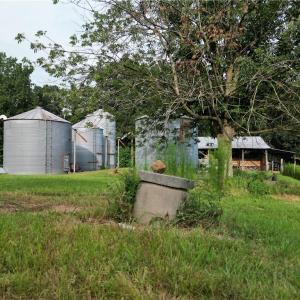 Photo #11 of NC Highway 49, Denton, NC 74.0 acres