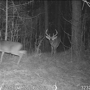 Photo #44 of NC Highway 49, Denton, NC 74.0 acres