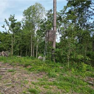 Photo #35 of NC Highway 49, Denton, NC 74.0 acres