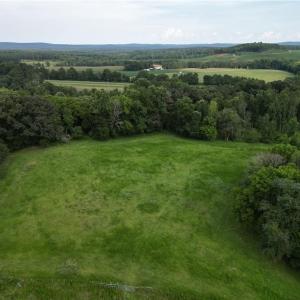 Photo #39 of NC Highway 49, Denton, NC 74.0 acres