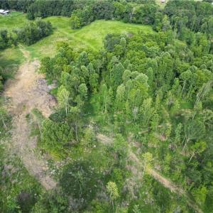 Photo #21 of NC Highway 49, Denton, NC 74.0 acres