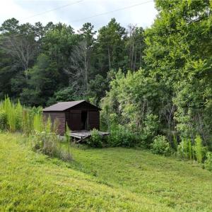 Photo #41 of NC Highway 49, Denton, NC 74.0 acres