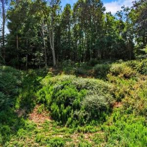 Photo #2 of 1911 Northbay, Browns Summit, NC 1.0 acres