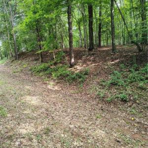 Photo #2 of Ararat, Ararat, VA 5.9 acres