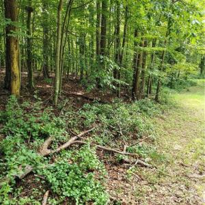 Photo #3 of Ararat, Ararat, VA 5.9 acres