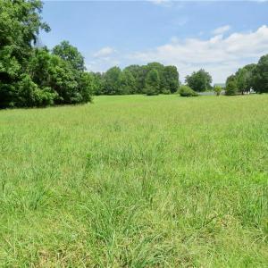 Photo #2 of Wolf Island, Reidsville, NC 34.7 acres