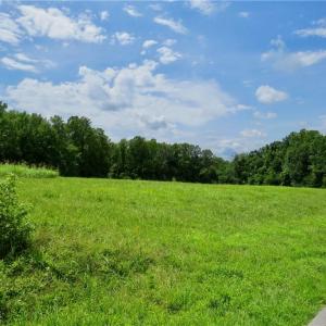 Photo #6 of Wolf Island, Reidsville, NC 34.7 acres