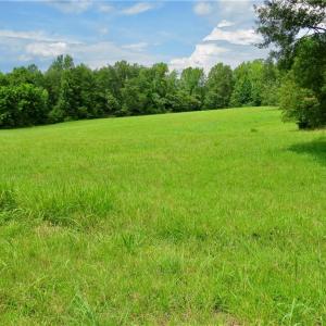 Photo #1 of Wolf Island, Reidsville, NC 34.7 acres