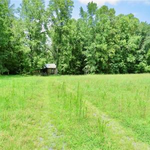 Photo #10 of Wolf Island, Reidsville, NC 34.7 acres