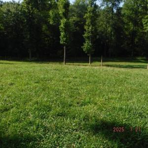 Photo #23 of Lowe, Madison, NC 9.6 acres