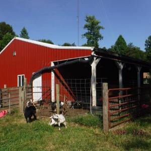Photo #27 of Lowe, Madison, NC 9.6 acres