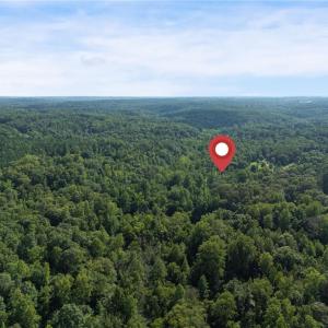 Photo #16 of Lowe, Madison, NC 9.6 acres