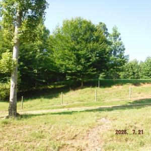 Photo #28 of Lowe, Madison, NC 9.6 acres