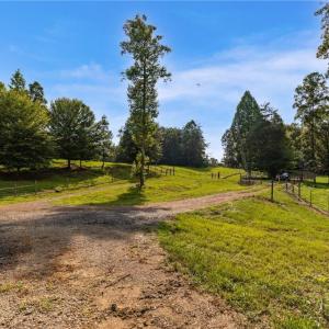 Photo #20 of Lowe, Madison, NC 9.6 acres