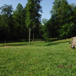 Photo #24 of Lowe, Madison, NC 9.6 acres