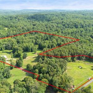 Photo #10 of Lowe, Madison, NC 9.6 acres