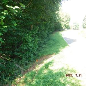 Photo #41 of Lowe, Madison, NC 9.6 acres