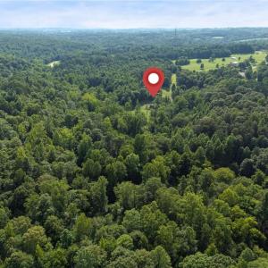 Photo #18 of Lowe, Madison, NC 9.6 acres