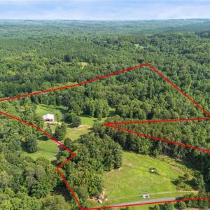 Photo #11 of Lowe, Madison, NC 9.6 acres