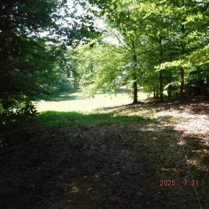 Photo #39 of Lowe, Madison, NC 9.6 acres