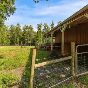 Photo #8 of Lowe, Madison, NC 9.6 acres