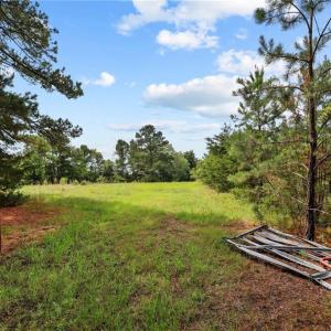 Photo #2 of Carthage, Bennett, NC 45.1 acres