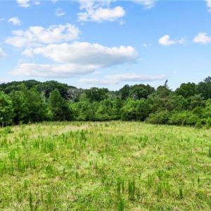 Photo #13 of Carthage, Bennett, NC 45.1 acres