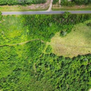 Photo #16 of Carthage, Bennett, NC 45.1 acres
