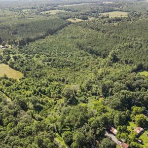 Photo #10 of Carthage, Bennett, NC 45.1 acres