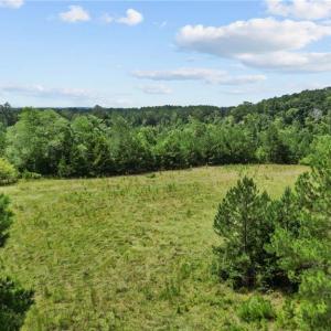 Photo #4 of Carthage, Bennett, NC 45.1 acres