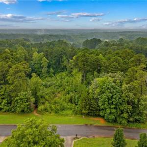 Photo #2 of 165 Wellington Estates, China Grove, NC 1.4 acres