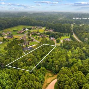 Photo #11 of 165 Wellington Estates, China Grove, NC 1.4 acres