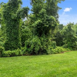 Some mature trees