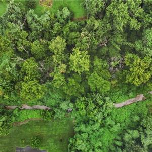 Bird's Eye View - Creek on property