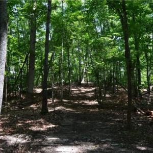 Photo #27 of 1344-1540 NC Highway 89, Danbury, NC 90.0 acres