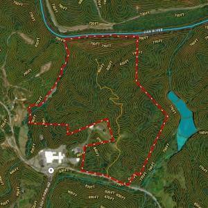 Photo #42 of 1344-1540 NC Highway 89, Danbury, NC 90.0 acres