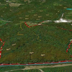 Photo #43 of 1344-1540 NC Highway 89, Danbury, NC 90.0 acres