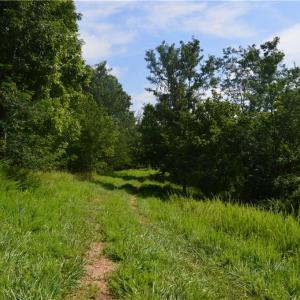 Photo #9 of 1344-1540 NC Highway 89, Danbury, NC 90.0 acres
