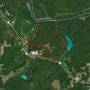 Photo #41 of 1344-1540 NC Highway 89, Danbury, NC 90.0 acres