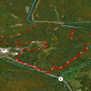 Photo #44 of 1344-1540 NC Highway 89, Danbury, NC 90.0 acres
