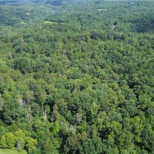 Photo #2 of 1344-1540 NC Highway 89, Danbury, NC 90.0 acres