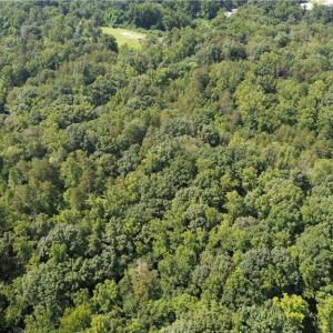 Photo #6 of 1344-1540 NC Highway 89, Danbury, NC 90.0 acres