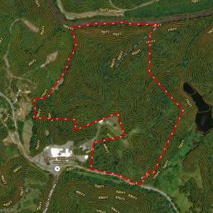 Photo #42 of 1344-1540 NC Highway 89, Danbury, NC 90.0 acres