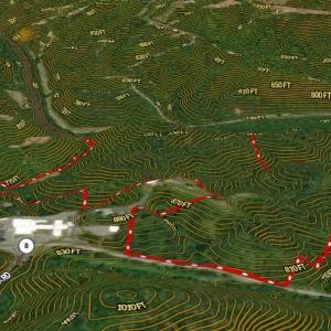 Photo #43 of 1344-1540 NC Highway 89, Danbury, NC 90.0 acres