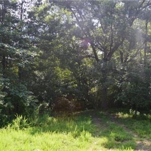 Photo #12 of 1344-1540 NC Highway 89, Danbury, NC 90.0 acres