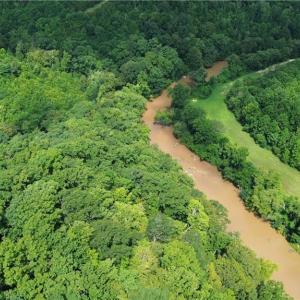 Photo #3 of 1344-1540 NC Highway 89, Danbury, NC 90.0 acres