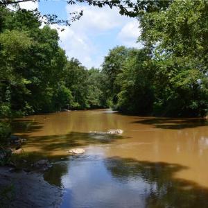 Photo #32 of 1344-1540 NC Highway 89, Danbury, NC 90.0 acres