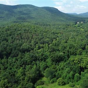 Photo #1 of 1344-1540 NC Highway 89, Danbury, NC 90.0 acres