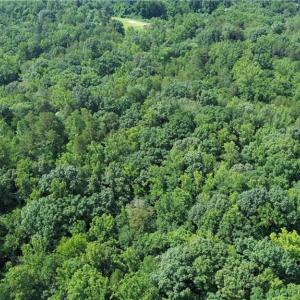 Photo #5 of 1344-1540 NC Highway 89, Danbury, NC 90.0 acres