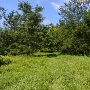 Photo #10 of 1344-1540 NC Highway 89, Danbury, NC 90.0 acres